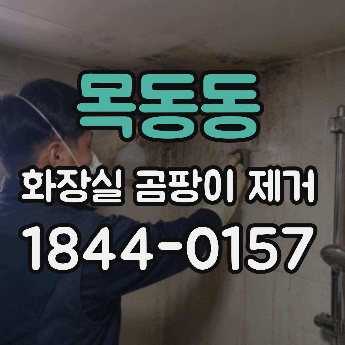목동동 화장실 곰팡이 제거