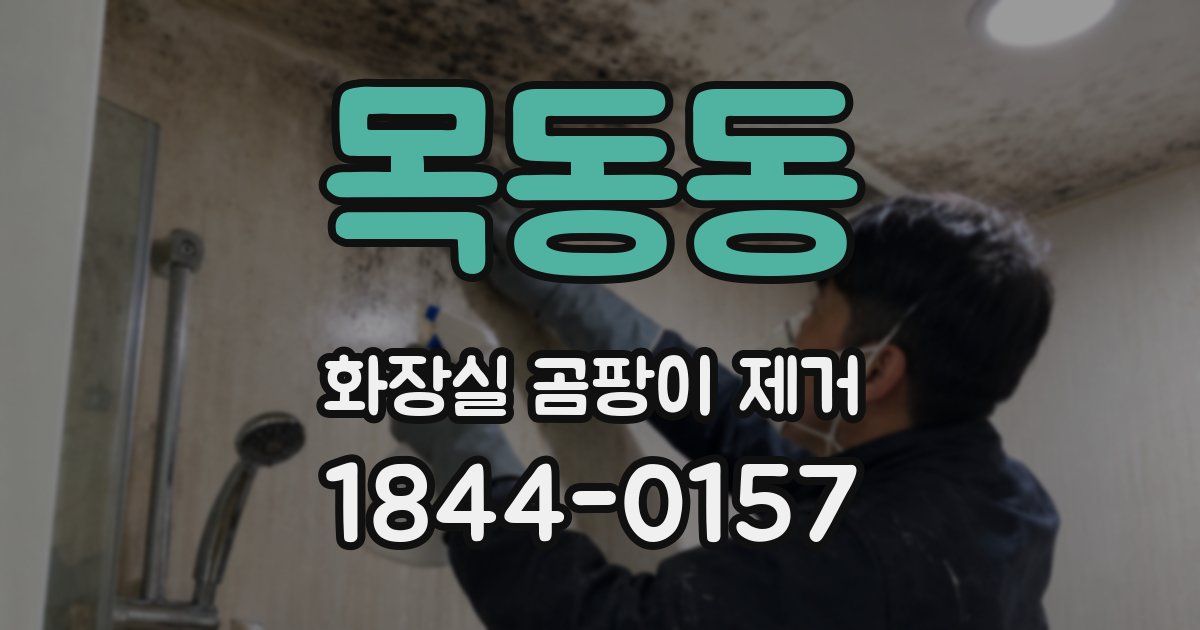 목동동 화장실 곰팡이 제거