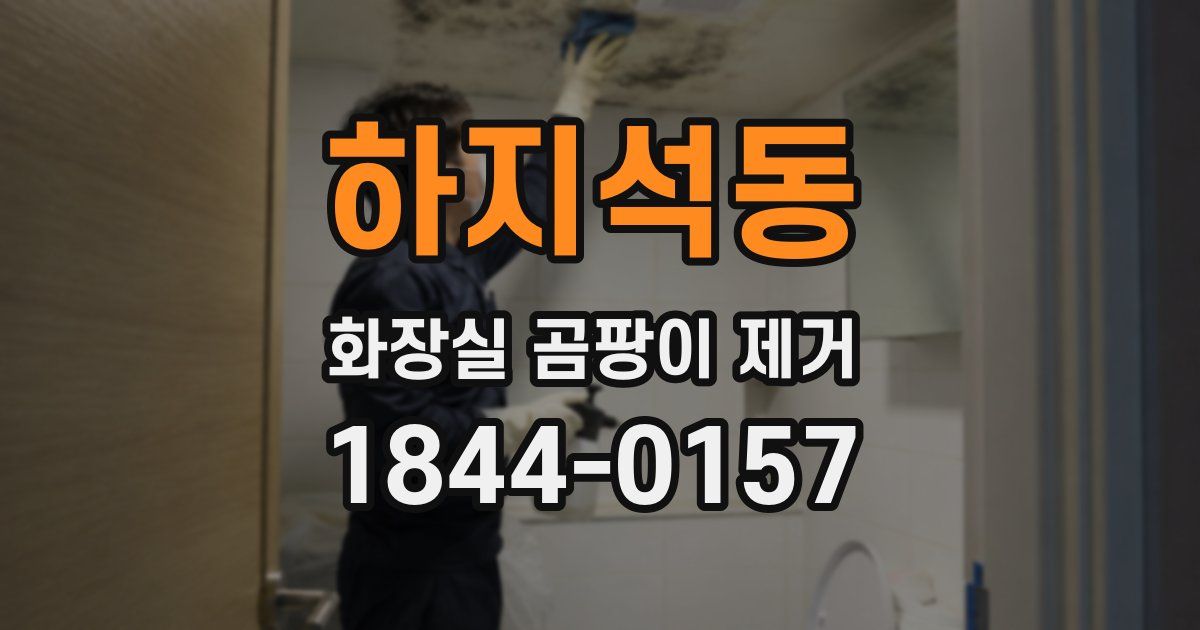 하지석동 화장실 곰팡이 제거