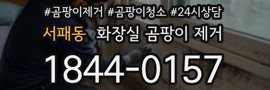 서패동 화장실 곰팡이 제거