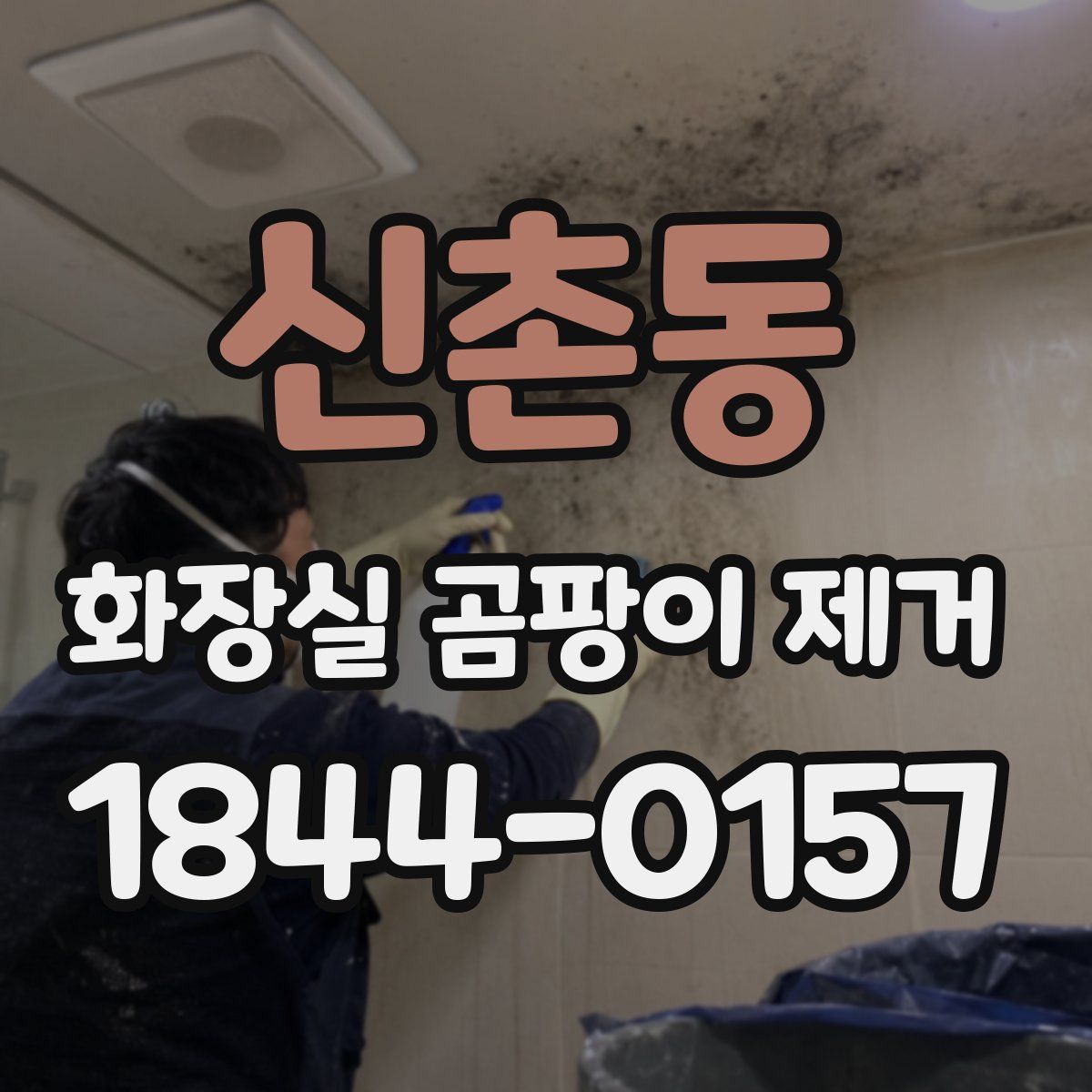 신촌동 화장실 곰팡이 제거