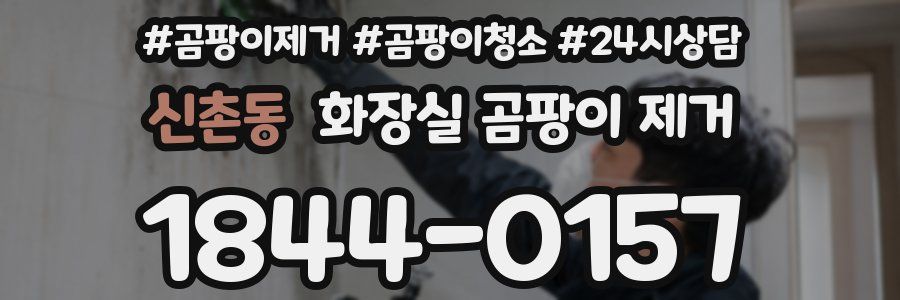 신촌동 화장실 곰팡이 제거