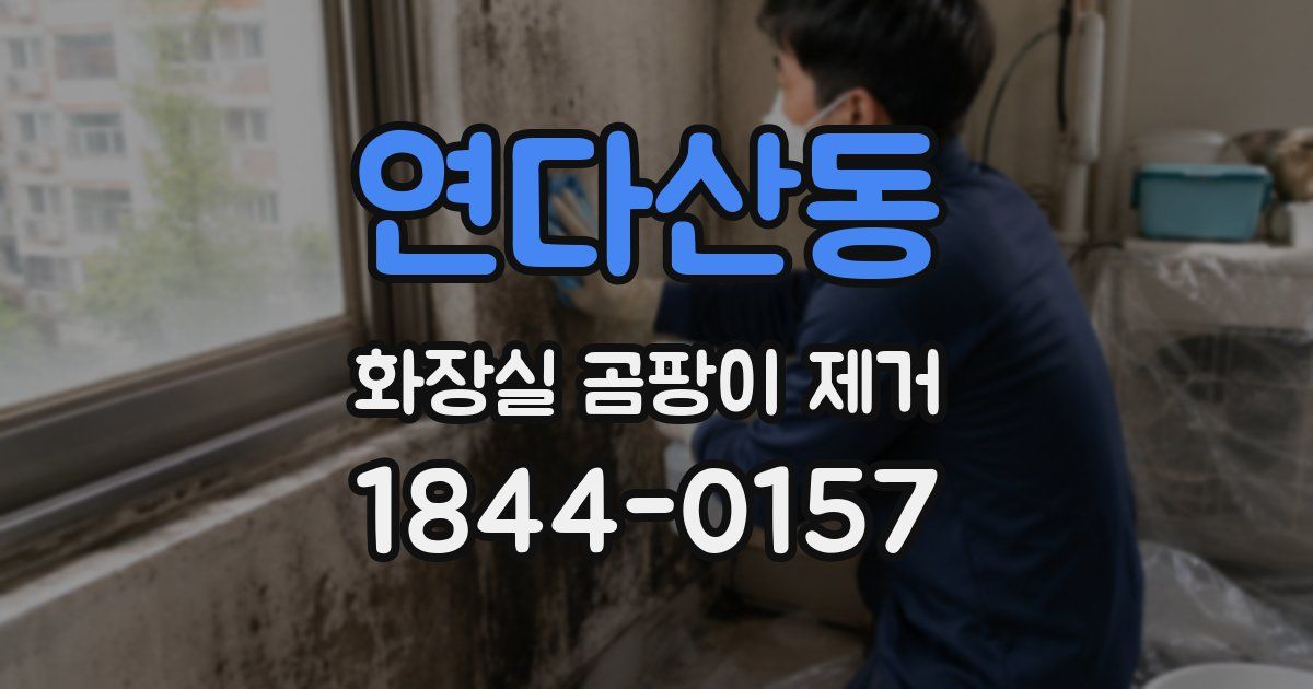 연다산동 화장실 곰팡이 제거