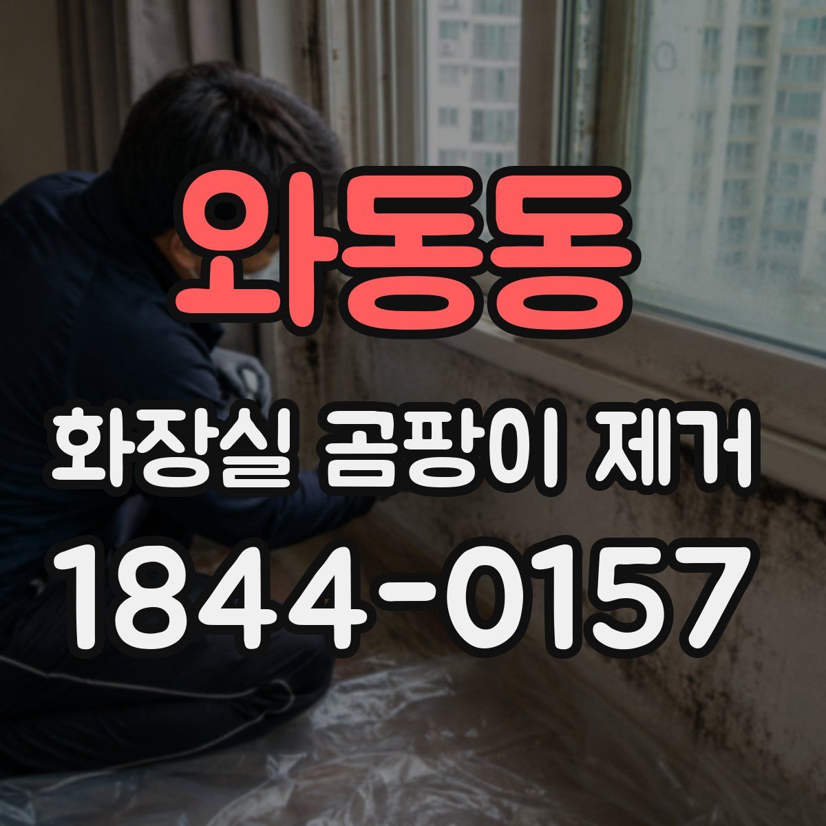 와동동 화장실 곰팡이 제거