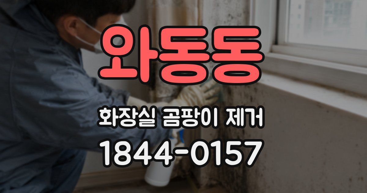 와동동 화장실 곰팡이 제거