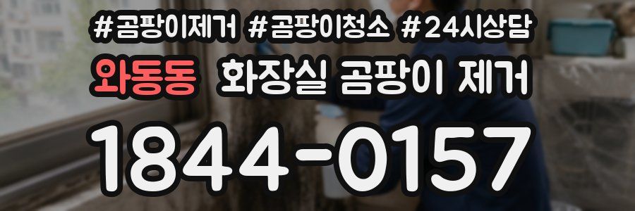 와동동 화장실 곰팡이 제거