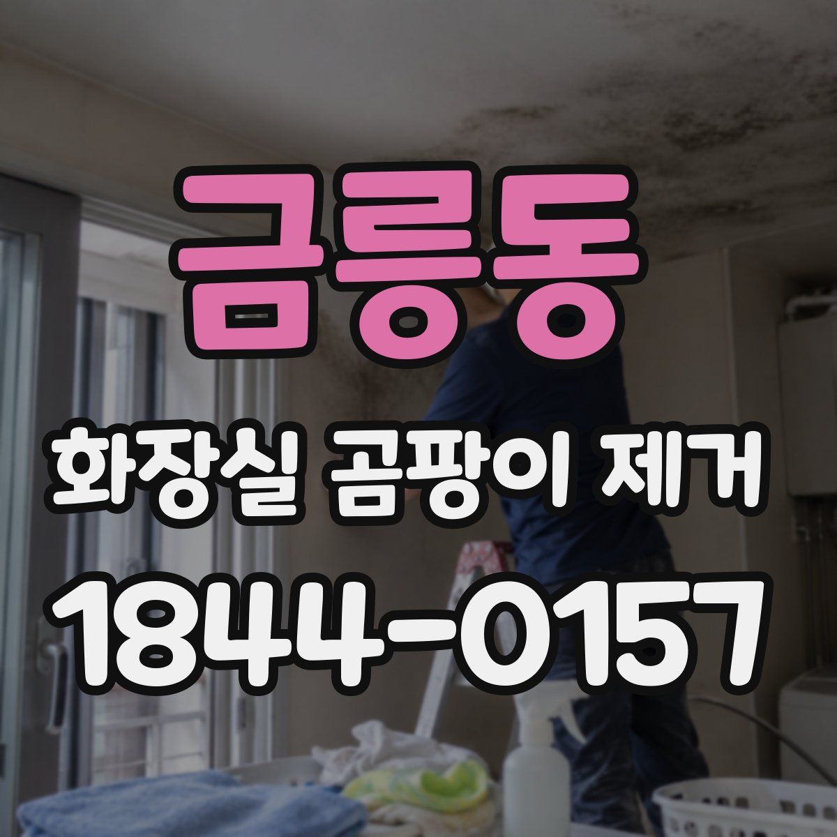 금릉동 화장실 곰팡이 제거