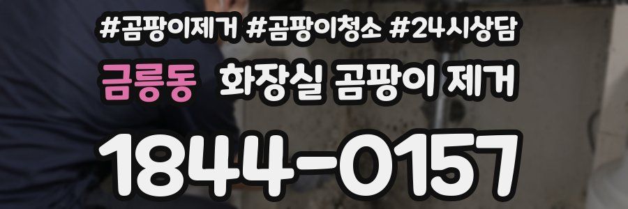 금릉동 화장실 곰팡이 제거