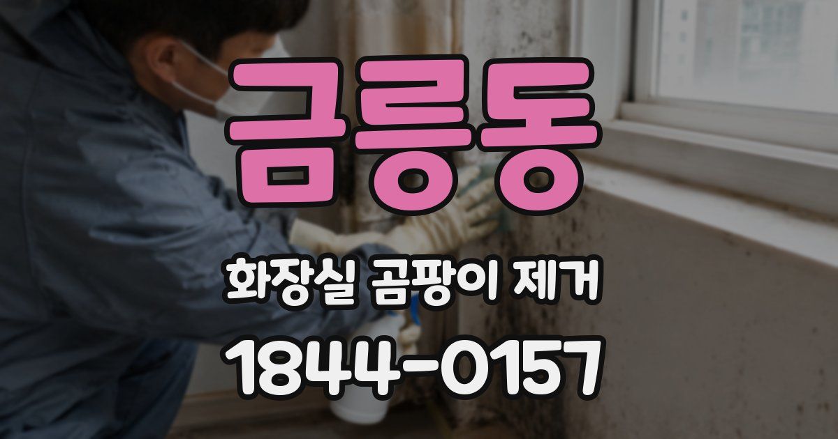 금릉동 화장실 곰팡이 제거