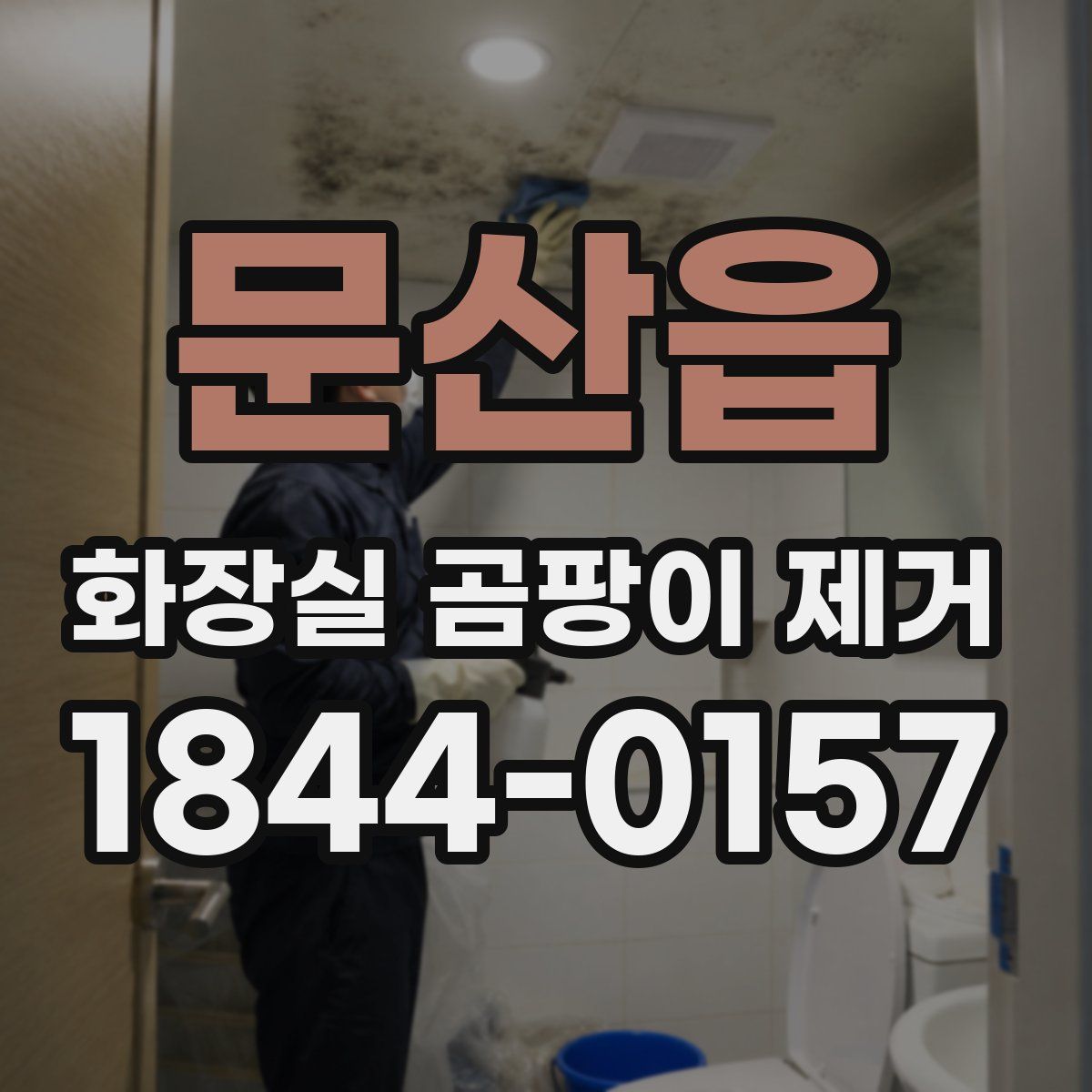 문산읍 화장실 곰팡이 제거