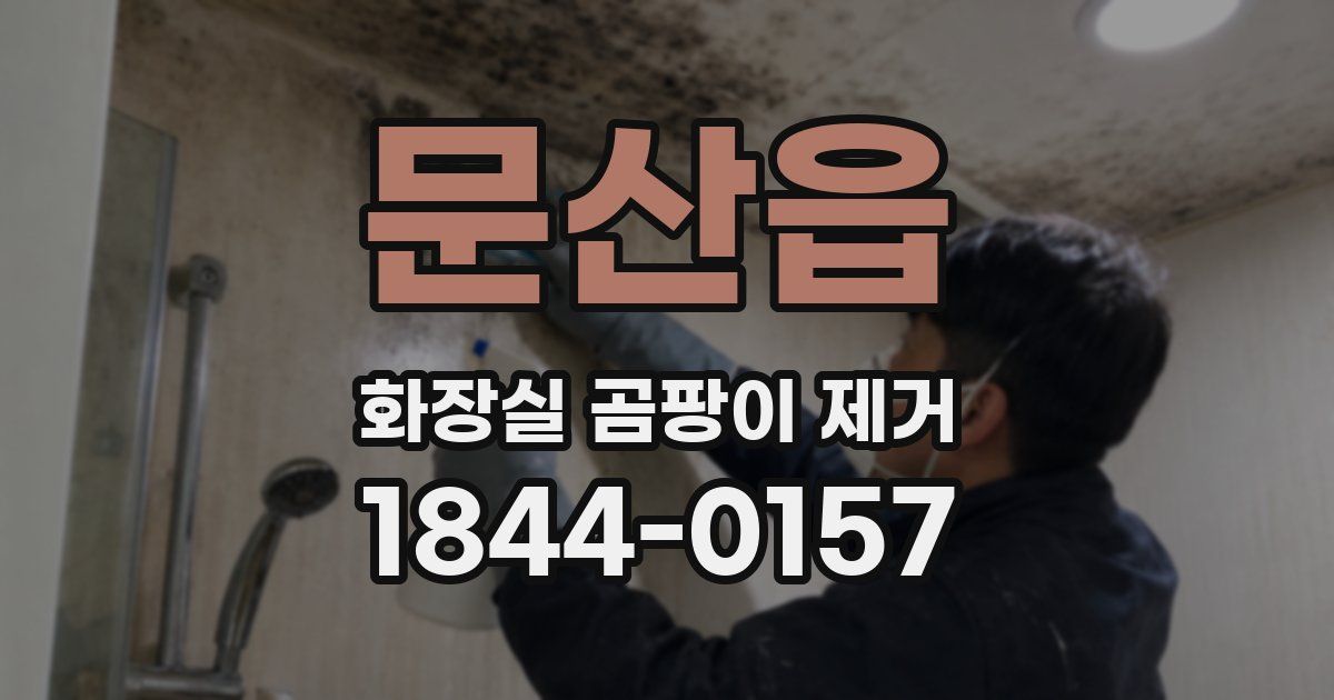 문산읍 화장실 곰팡이 제거