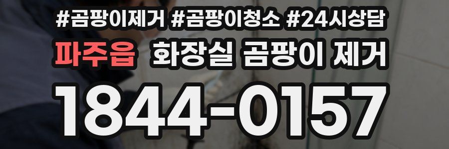 파주읍 화장실 곰팡이 제거