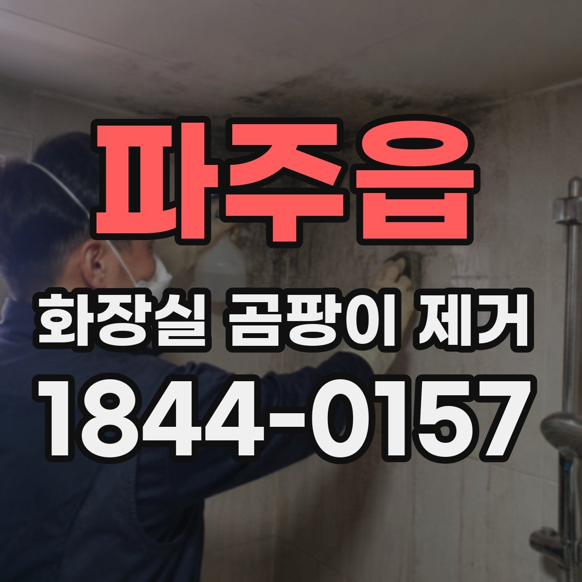 파주읍 화장실 곰팡이 제거