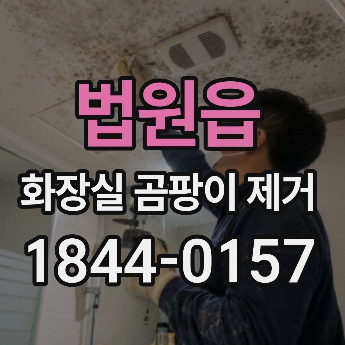 법원읍 화장실 곰팡이 제거