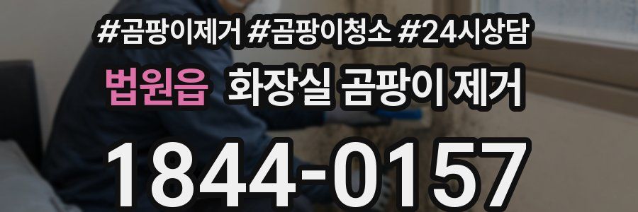 법원읍 화장실 곰팡이 제거