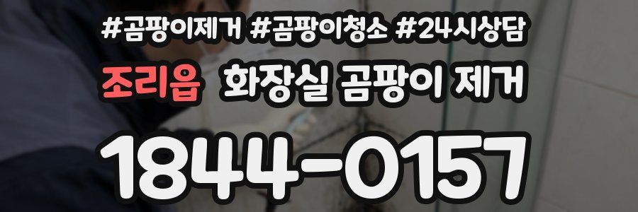 조리읍 화장실 곰팡이 제거