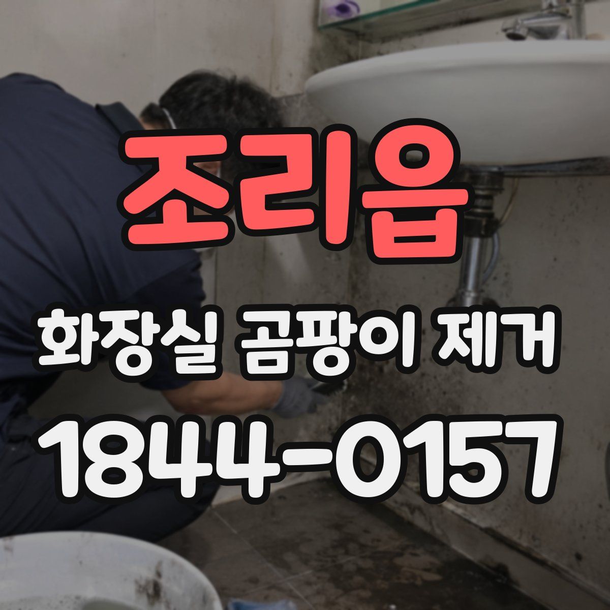 조리읍 화장실 곰팡이 제거
