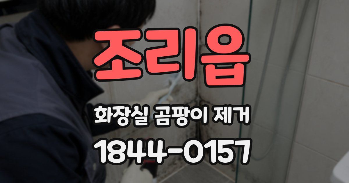 조리읍 화장실 곰팡이 제거