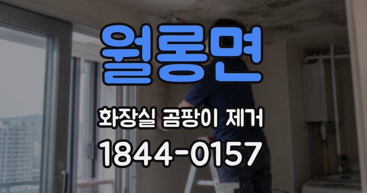 월롱면 화장실 곰팡이 제거