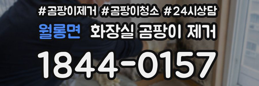 월롱면 화장실 곰팡이 제거