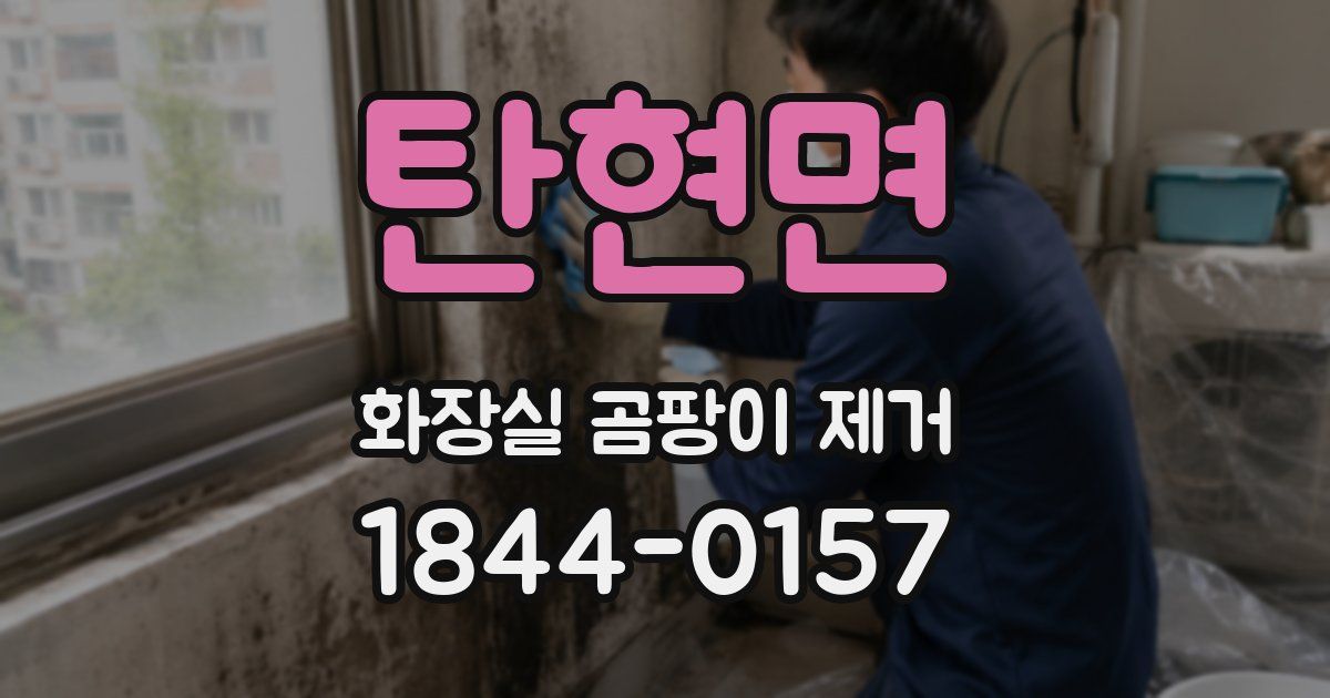 탄현면 화장실 곰팡이 제거