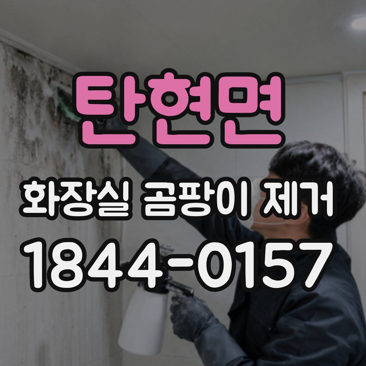탄현면 화장실 곰팡이 제거