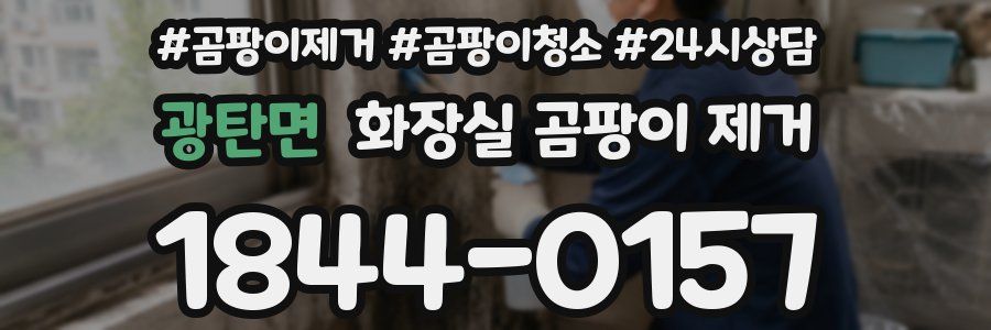 광탄면 화장실 곰팡이 제거