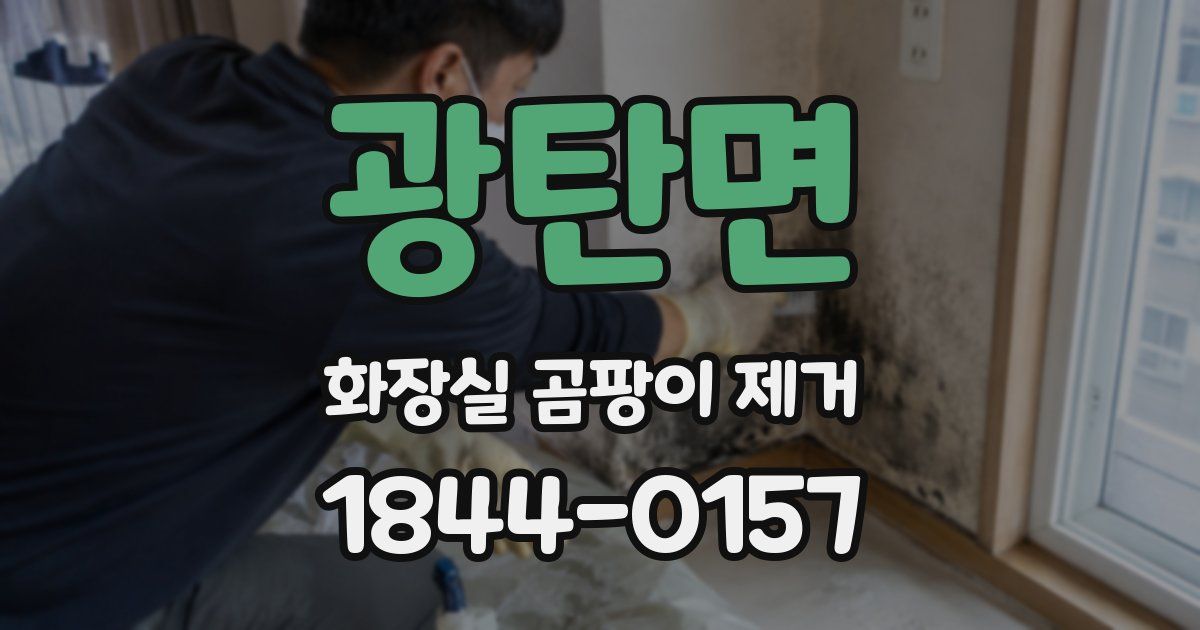 광탄면 화장실 곰팡이 제거