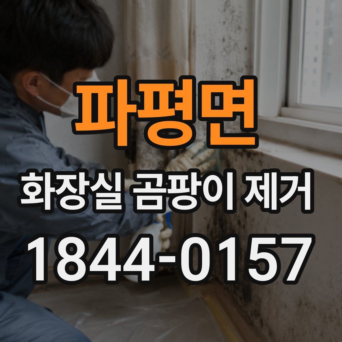 파평면 화장실 곰팡이 제거 셀프 청소와 전문 작업 차이 살펴보기