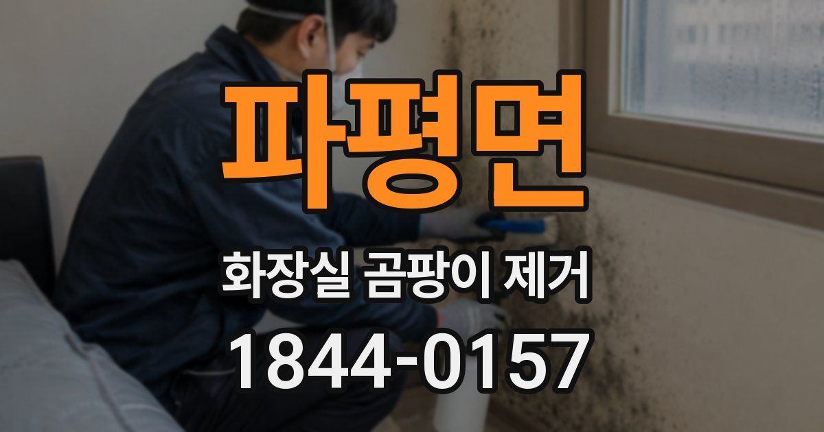 파평면 화장실 곰팡이 제거