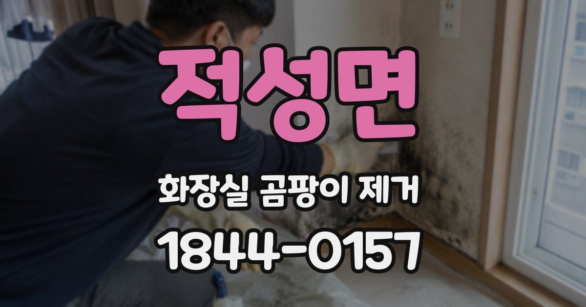 적성면 화장실 곰팡이 제거