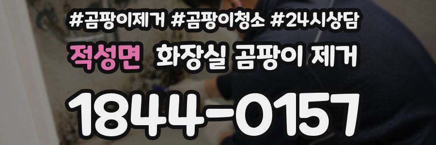 적성면 화장실 곰팡이 제거