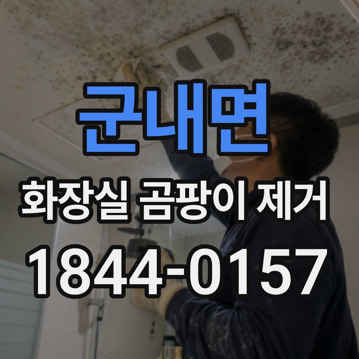 군내면 화장실 곰팡이 제거