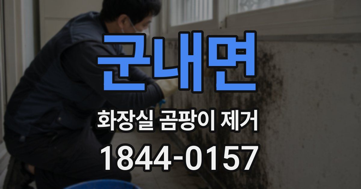 군내면 화장실 곰팡이 제거