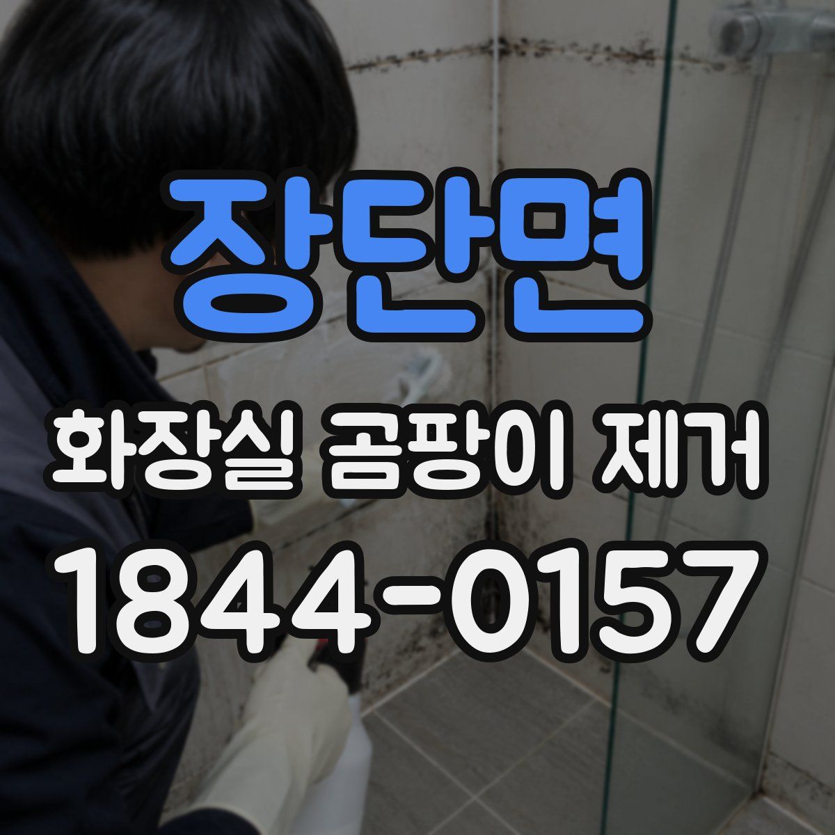 장단면 화장실 곰팡이 제거