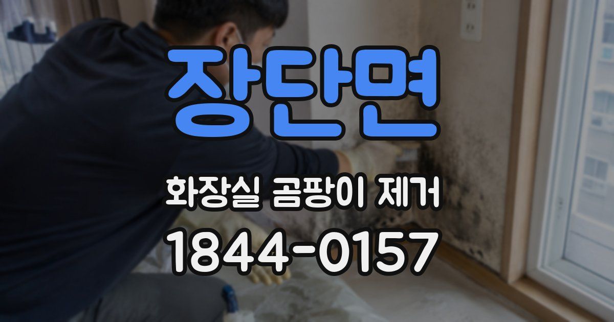 장단면 화장실 곰팡이 제거
