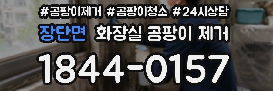 장단면 화장실 곰팡이 제거