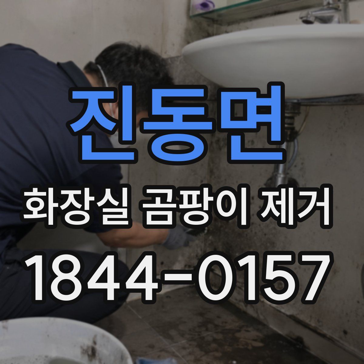 진동면 화장실 곰팡이 제거