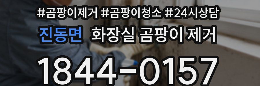 진동면 화장실 곰팡이 제거