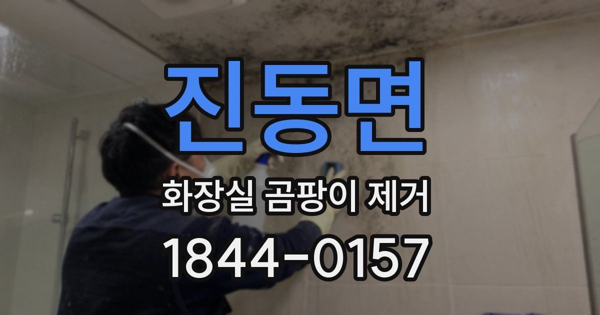 진동면 화장실 곰팡이 제거