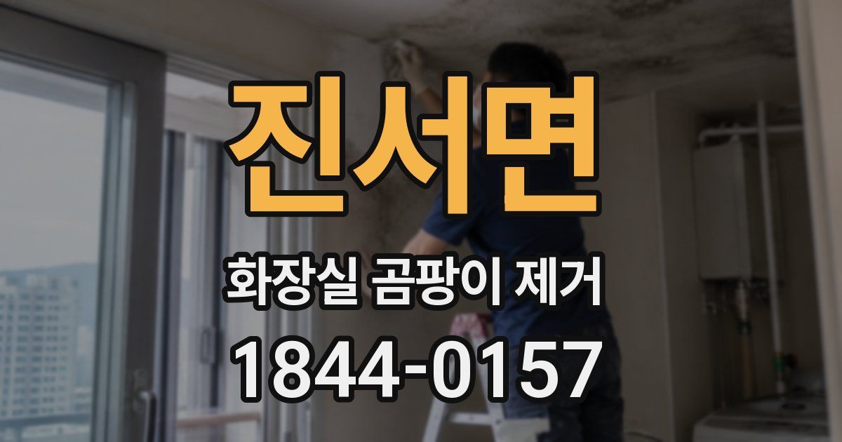 진서면 화장실 곰팡이 제거