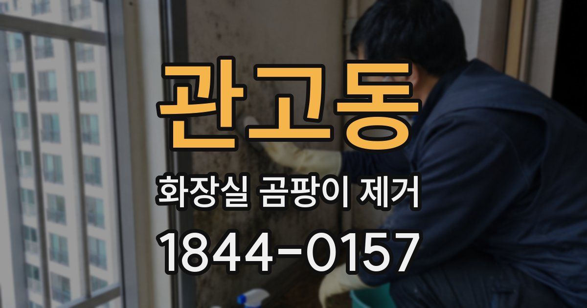 관고동 화장실 곰팡이 제거