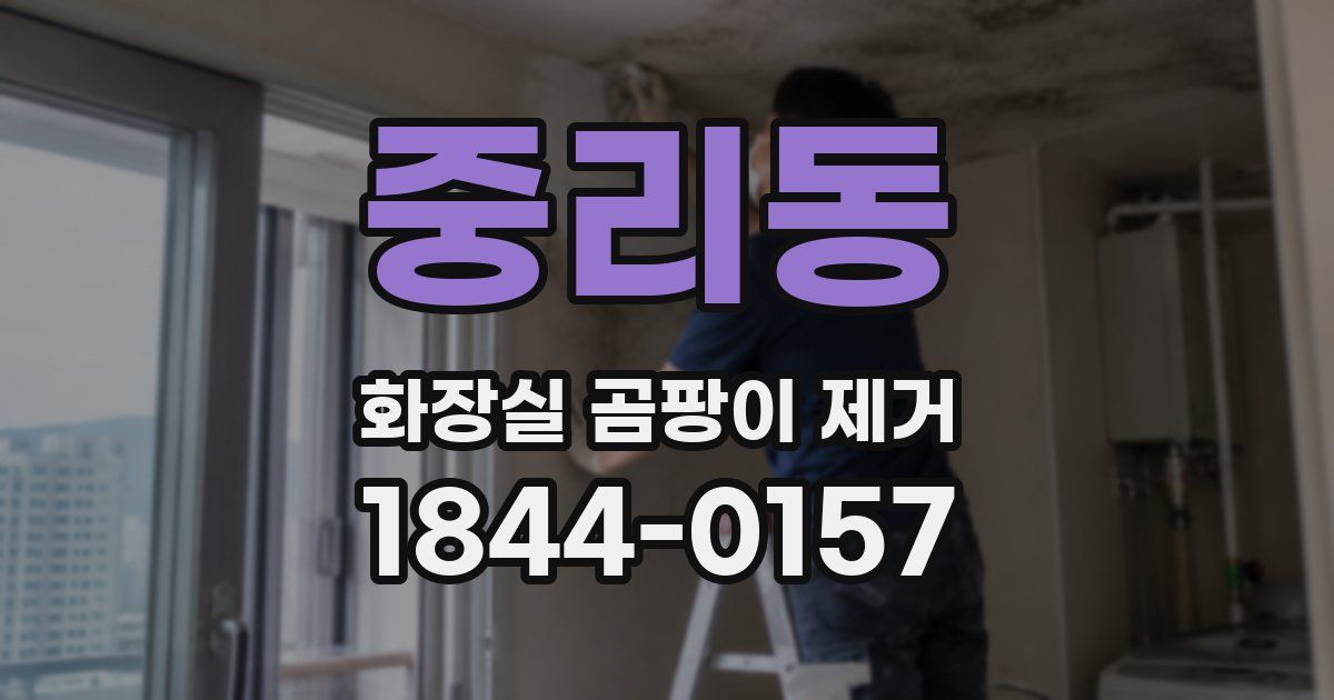 중리동 화장실 곰팡이 제거