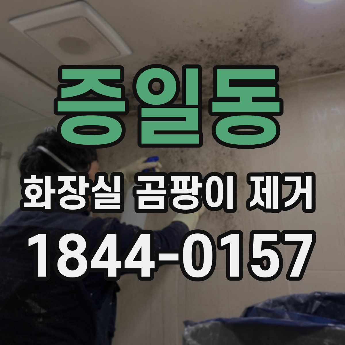 증일동 화장실 곰팡이 제거