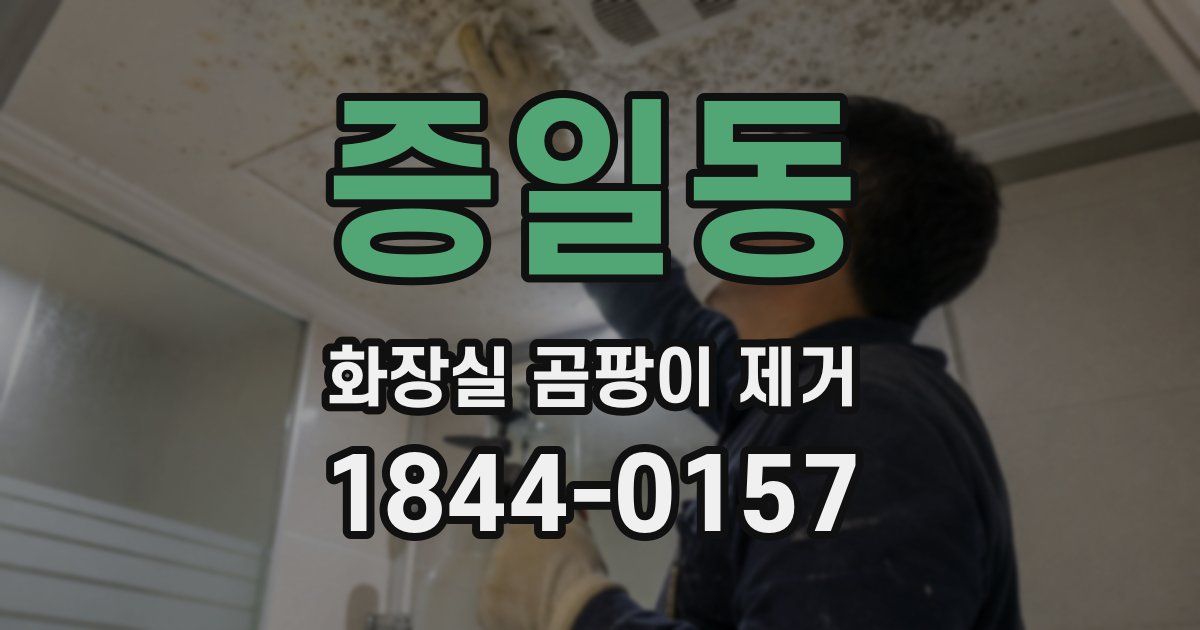 증일동 화장실 곰팡이 제거