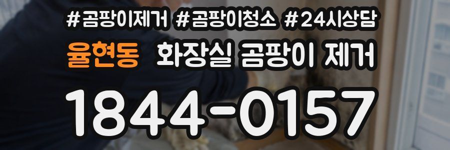 율현동 화장실 곰팡이 제거