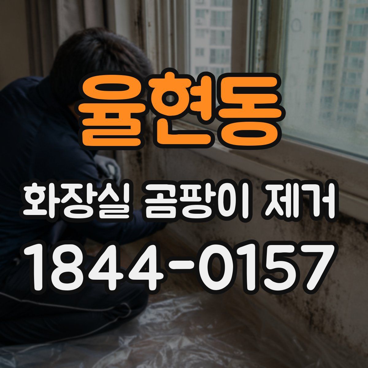율현동 화장실 곰팡이 제거
