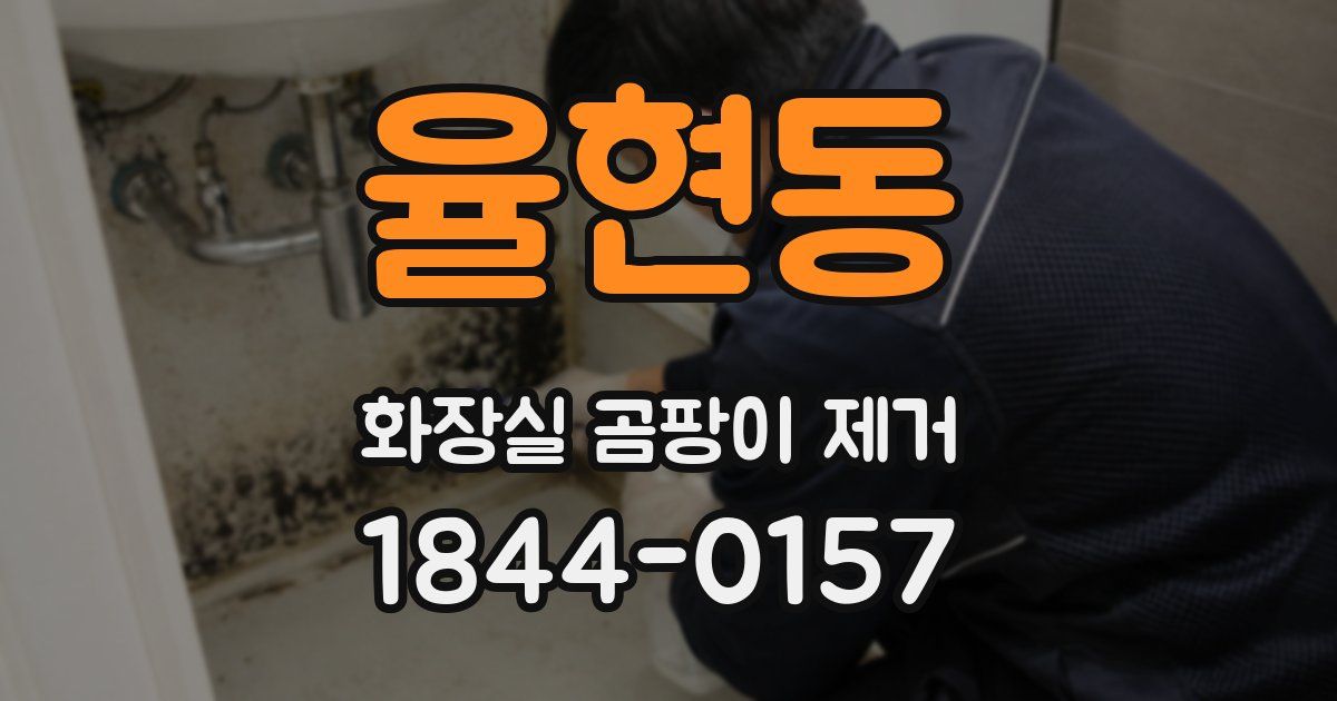 율현동 화장실 곰팡이 제거