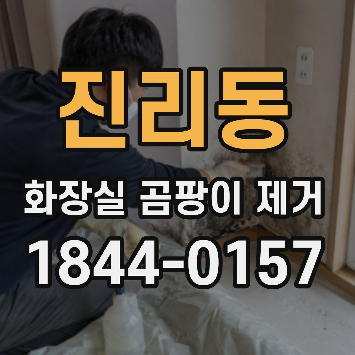 진리동 화장실 곰팡이 제거