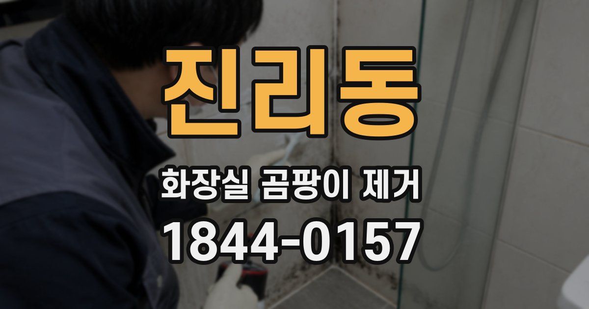 진리동 화장실 곰팡이 제거